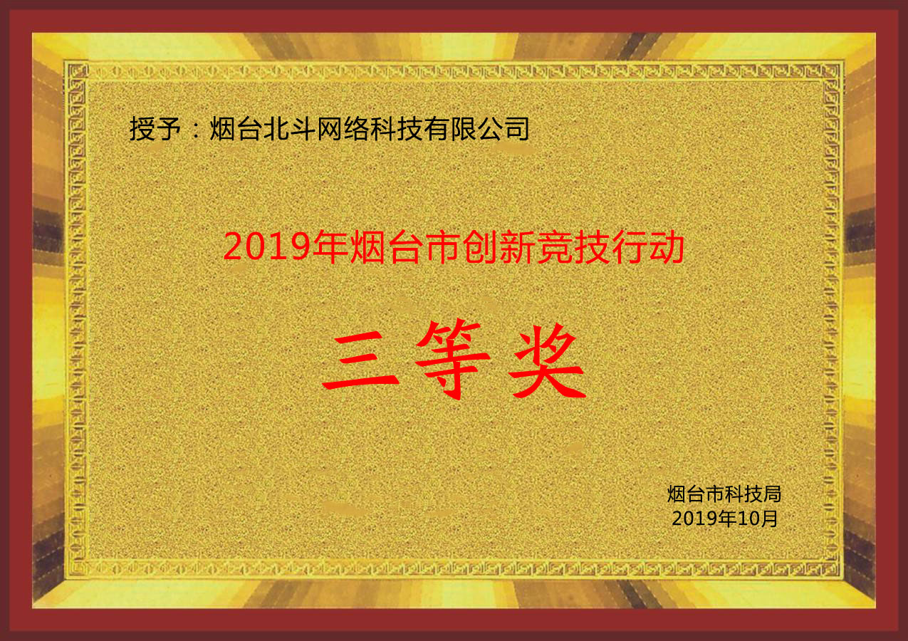 创新竞技行动三等奖铜牌.jpg
